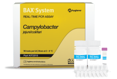 Campylobacter_RT Kit